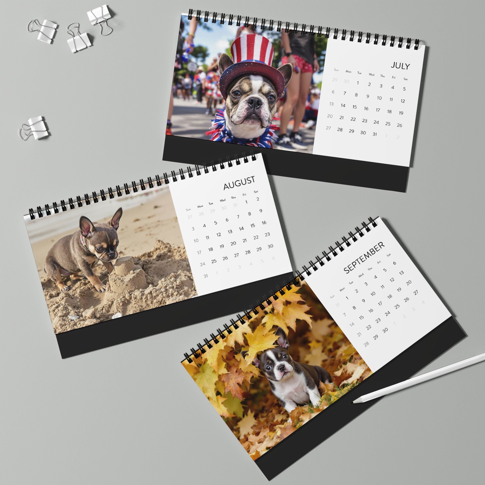 2025 Desktop Calendar with Frenchie Puppies