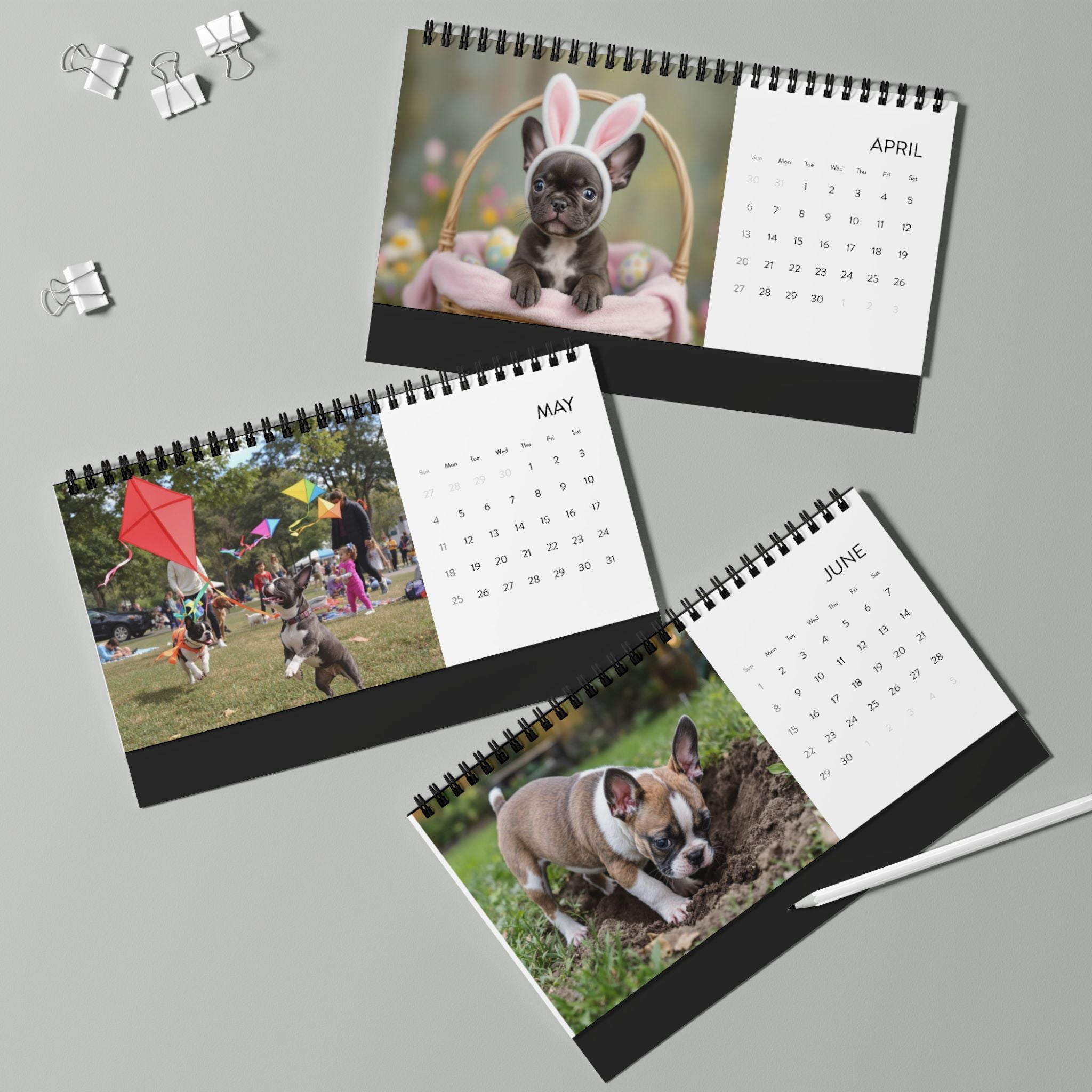 2025 Desktop Calendar with Frenchie Puppies