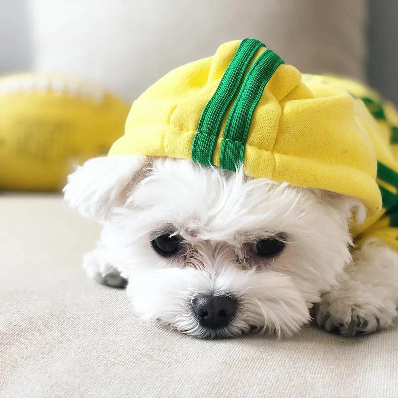 Dog Jumpsuit Costume | Adidog Sweatshirt for Dogs | Dog Sweats |Workout Wear for Dogs